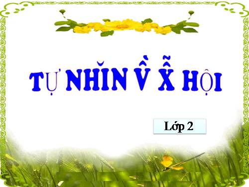 Bài 20. An toàn khi đi các phương tiện giao thông