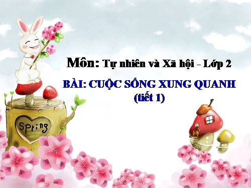 Bài 21. Cuộc sống xung quanh