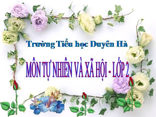 Bài 12. Đồ dùng trong gia đình