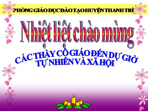 Bài 6. Tiêu hoá thức ăn