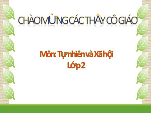 Bài 1. Cơ quan vận động