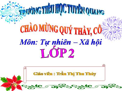 Bài 22. Cuộc sống xung quanh (tiếp theo)