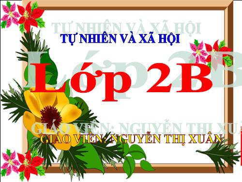Bài 16. Các thành viên trong nhà trường