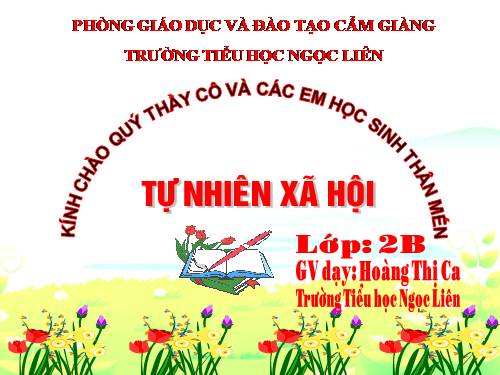 Bài 20. An toàn khi đi các phương tiện giao thông