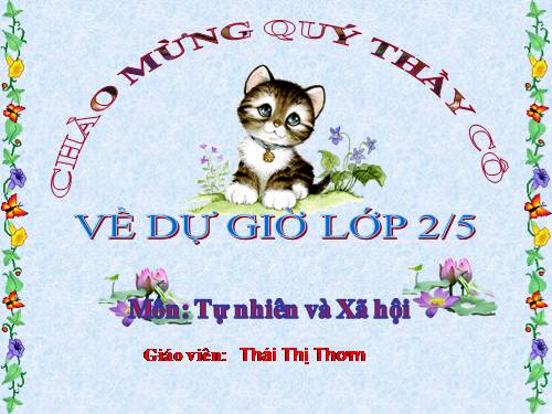 Bài 21. Cuộc sống xung quanh