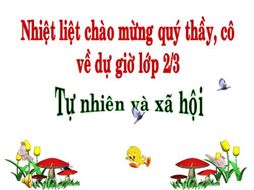 Bài 20. An toàn khi đi các phương tiện giao thông