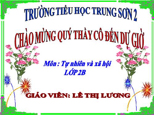 Bài 16. Các thành viên trong nhà trường