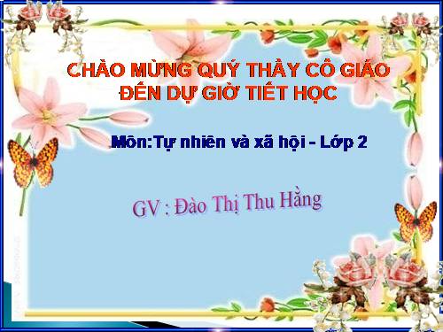 Bài 11. Gia đình