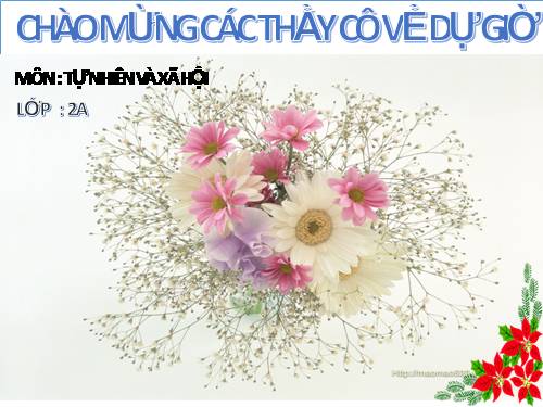 Bài 24. Cây sống ở đâu?