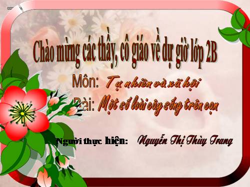 Bài 25. Một số loài cây sống trên cạn