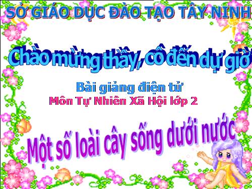 Bài 26. Một số loài cây sống dưới nước