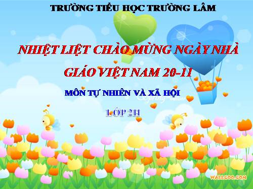 Bài 9. Đề phòng bệnh giun
