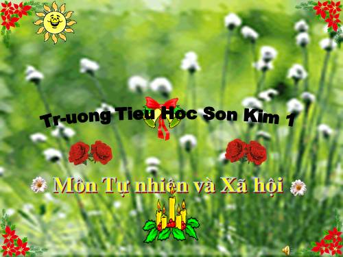 Bài 11. Gia đình
