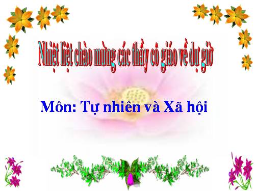 Bài 11. Gia đình