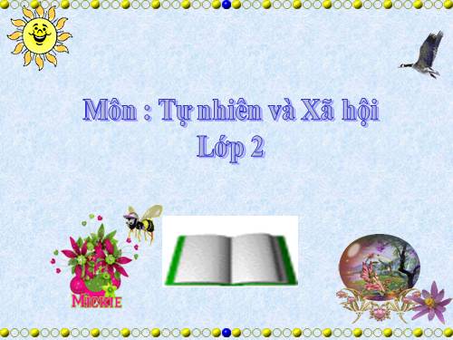 Bài 12. Đồ dùng trong gia đình