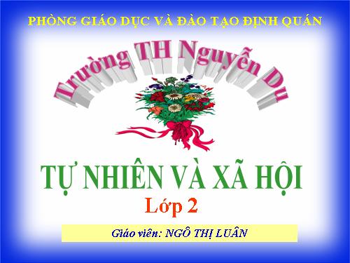 Bài 16. Các thành viên trong nhà trường