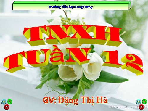 Bài 12. Đồ dùng trong gia đình