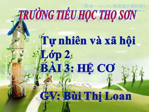 Bài 3. Hệ cơ