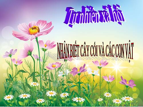 Bài 30. Nhận biết cây cối và các con vật