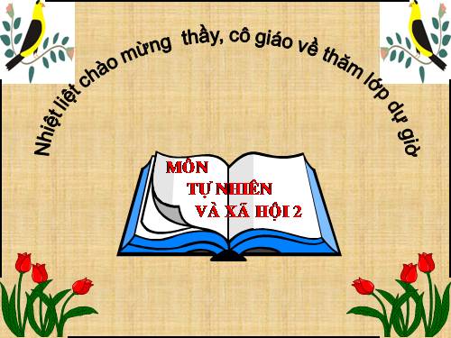 Bài 26. Một số loài cây sống dưới nước