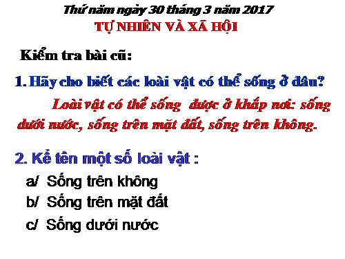 Bài 2. Bộ xương