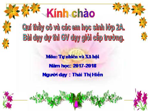 Bài 11. Gia đình
