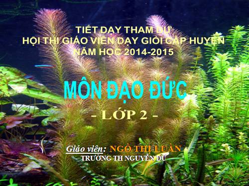Bài 26. Một số loài cây sống dưới nước