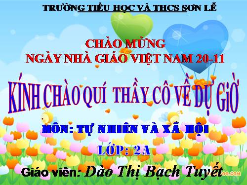 TNXH 2: Đề phòng bệnh giun