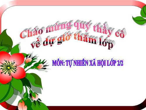 Bài 10. Ôn tập: Con người và sức khoẻ