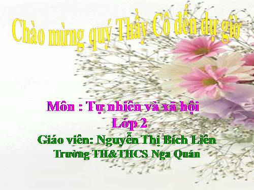 Bài 9. Đề phòng bệnh giun