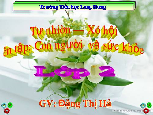 Bài 10. Ôn tập: Con người và sức khoẻ
