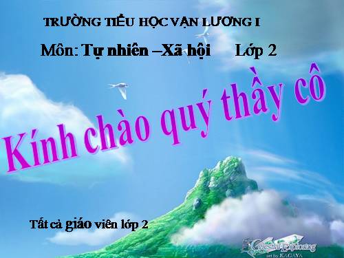 Bài 8. Ăn, uống sạch sẽ