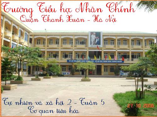 Bài 5. Cơ quan tiêu hoá