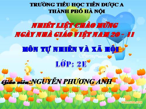 Bài 9. Đề phòng bệnh giun