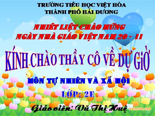 Bài 9. Đề phòng bệnh giun