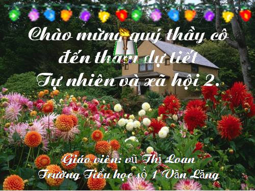 Bài 29. Một số loài vật sống dưới nước