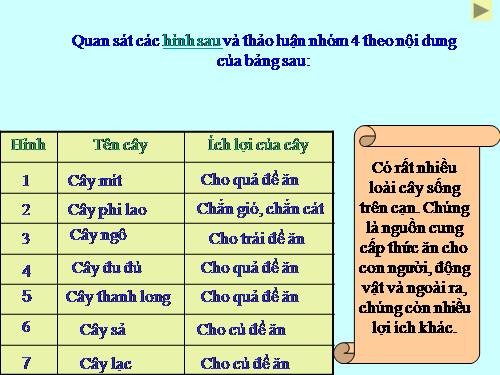 Bài 25. Một số loài cây sống trên cạn