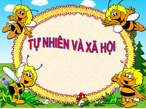 Bài 6. Tiêu hoá thức ăn