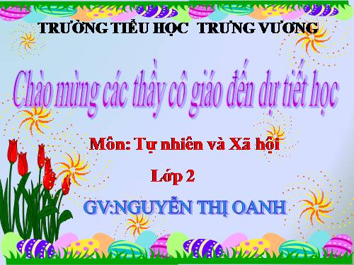 Bài 6. Tiêu hoá thức ăn