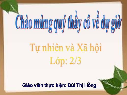 Bài 9. Đề phòng bệnh giun