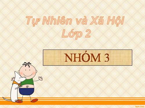 Bài 29. Một số loài vật sống dưới nước