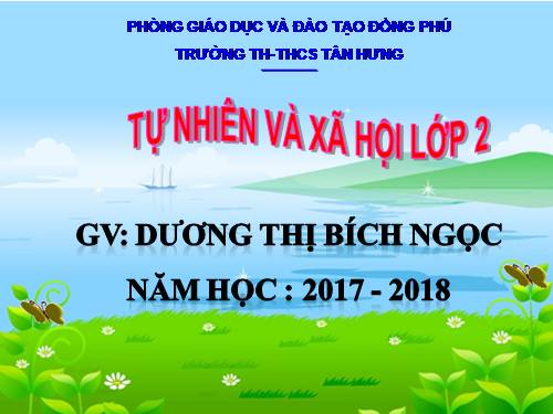 Bài 7. Ăn, uống đầy đủ