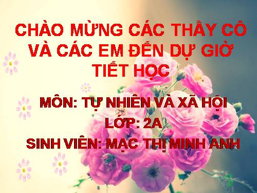 Bài 27. Loài vật sống ở đâu?