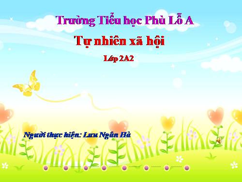Bài 29. Một số loài vật sống dưới nước