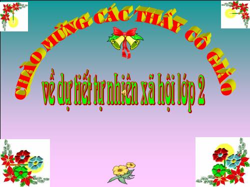 Bài 9. Đề phòng bệnh giun