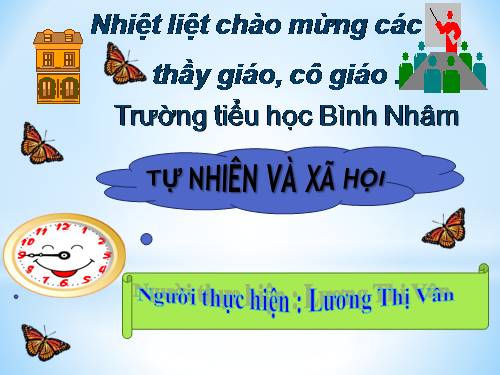 Bài 25. Một số loài cây sống trên cạn