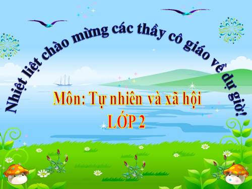 Bài 24. Cây sống ở đâu?