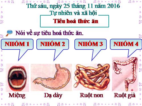 Bài 6. Tiêu hoá thức ăn
