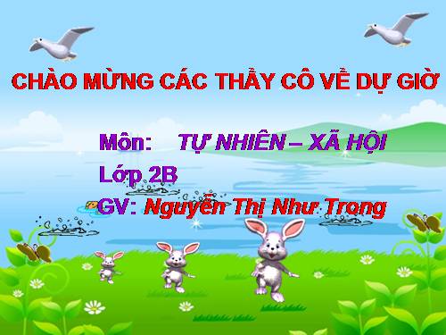 Bài 7. Ăn, uống đầy đủ