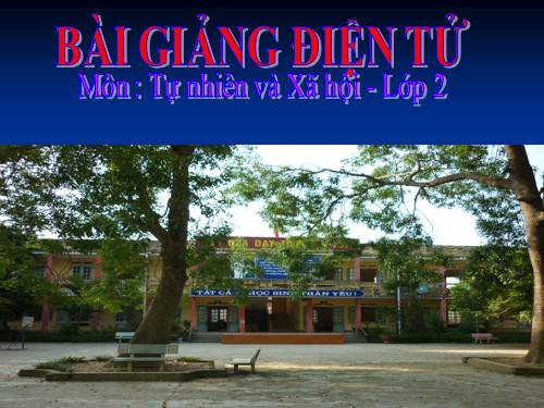 Bài 34-35. Ôn tập: Tự nhiên